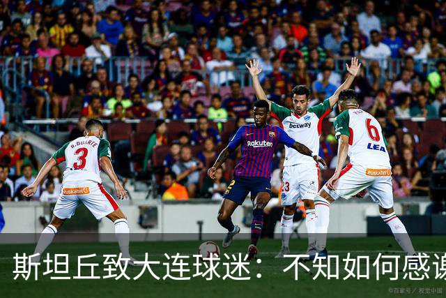 斯坦丘致大连球迷：不知如何感谢你们的热爱 会拼尽全力战至最后
